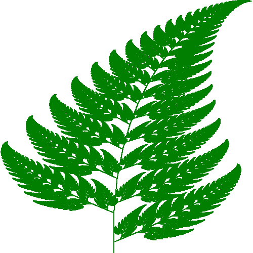 fern